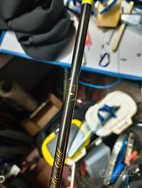 Canne Verbanesi Parabolic