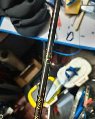 Canne Verbanesi Parabolic