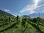 Immagine 22