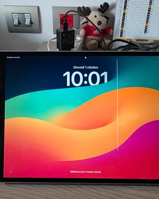 Ipad pro 10.9 256GB WiFi + Cellular