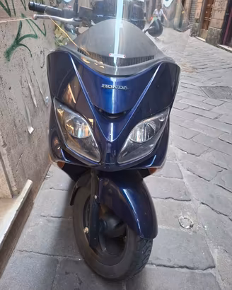 Splendido Honda Forza 29 mila km