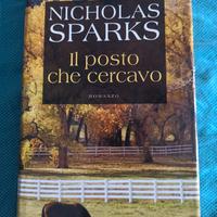 Il posto che cervavo