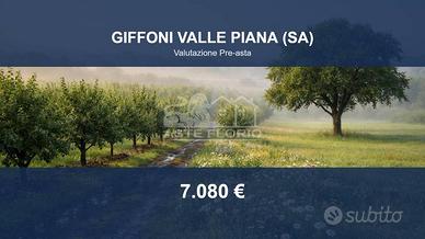 Immobile in asta di 29371 m² a Giffoni Valle Piana