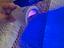 Immagine 4