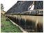 Immagine 19