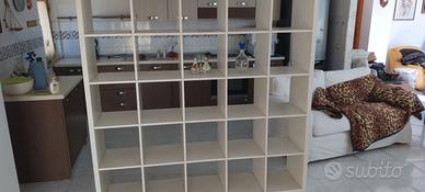 Parete Attrezzata  e Libreria