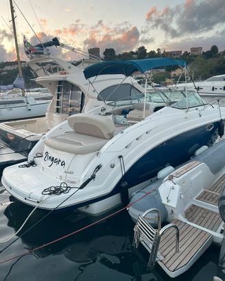 Chaparral Signature 250 (820)