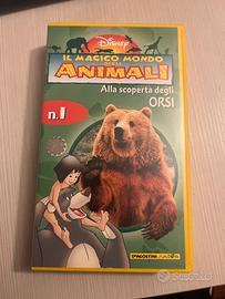 Il magico mondo degli animali