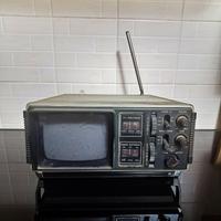 TV vintage irradio apple 502