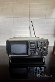 TV vintage irradio apple 502