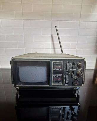 TV vintage irradio apple 502