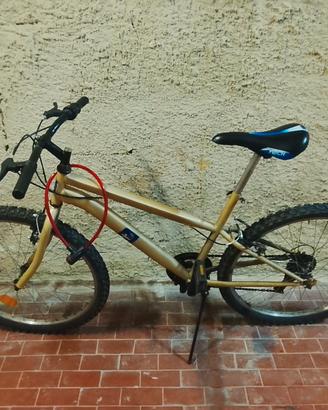 Mountain bike 18 Marce