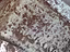 Immagine 11