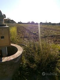 Terreno agricolo a Quartu S.Elena