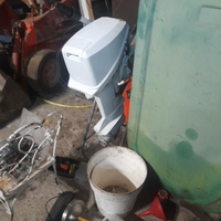 Fuoribordo 15 cv johnson