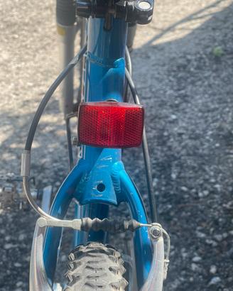 Bicicletta