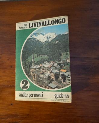 libro guide ns 1979