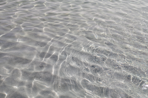 Prezzi nell annuncio