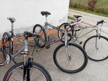 biciclette MTB in alluminio 