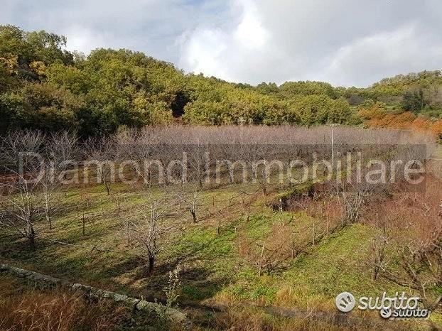Terreno 5 ettari con fabbricato Piedimonte Etneo - Vista 3