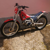 Trial fantic section 250