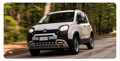 Panda 4x4   4x40