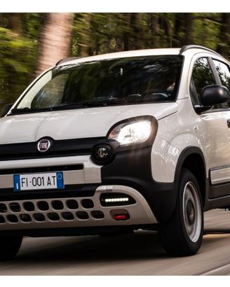 Panda 4x4   4x40