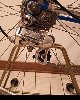 Bicicletta da corsa