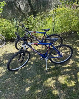 2 Bici  - 7 marce Shimano