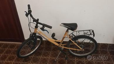 bicicletta