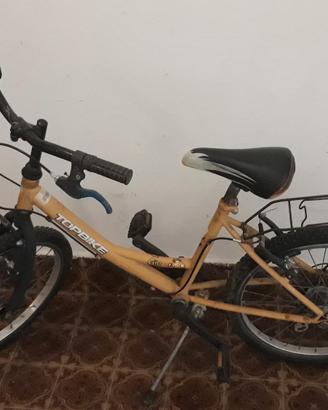 bicicletta