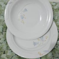 12 piatti di porcellana vintage 