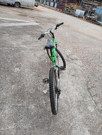 bicicletta ragazzo 