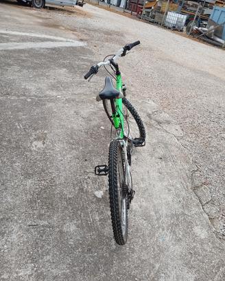 bicicletta ragazzo 