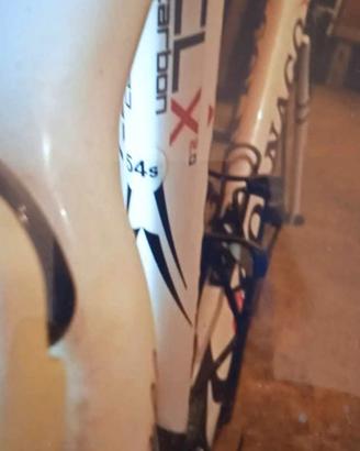 bici da corsa Colnago al carbonio 