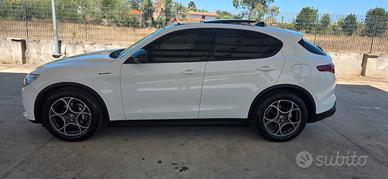 Stelvio 2.2 160cv Garanzia Tetto Panoramico 
