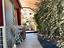Immagine 8