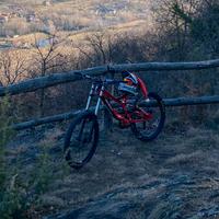 Specialized demo 8