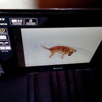 Cornice digitale sony