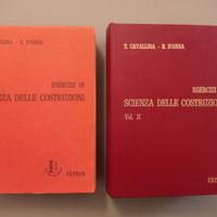Esercizi di Scienza costruzioni - Cavallina/D'Anna