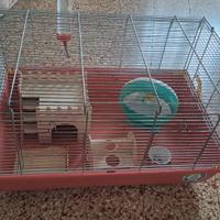 Gabbia cricetti