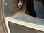 Immagine 12