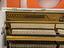 Immagine 7