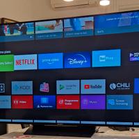 TV  Sony  Bravia 55 pollici