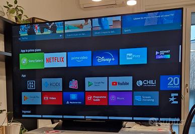 TV  Sony  Bravia 55 pollici