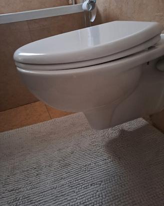 coppia sanitari sospesi