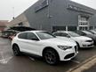 ALFA ROMEO Stelvio 2.2 Turbodiesel 210 CV AT8 Q4