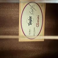 Taylor GS Mini