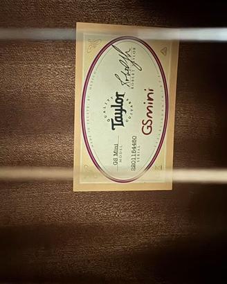 Taylor GS Mini