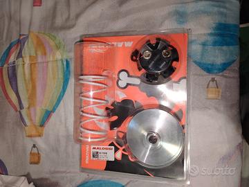 variatore multivar 2000 malossi 
